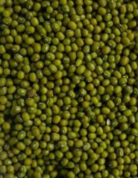green mungs beans Color Green - Am star group trading plc - Ethiopia