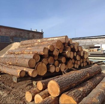 WOOD - SOURCE GLOBAL TRADING GROUP - South Africa