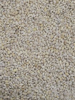 PEARL BARLEY – product photo, Pearl products found from trusted suppliers, wholesalers, manufacturers & exporters Listing