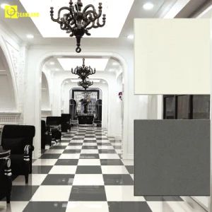 600X600 Patent Technique Floor Granite with Polished Porcelain Tiles - Foshan Oceanland Ceramics Co., Ltd. - China