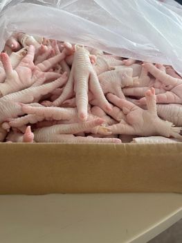 Frozen Premium Grade a Halal Chicken Feet & Paws Vacuum Pack Odor Nil Skin Color Off Ammonia Burn Nil Certifications Sgs Testing - N.G westen holding B.V - Netherlands
