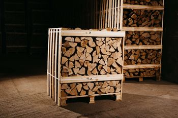 Wholesale Premium Hornbeam Firewood Logs Kiln Dried Hardwood For Bulk Orders Ideal For Commercial Heating And Home Use Strong Heat Output Clean Burn Buy Now Fast Delivery - wood traders - Poland