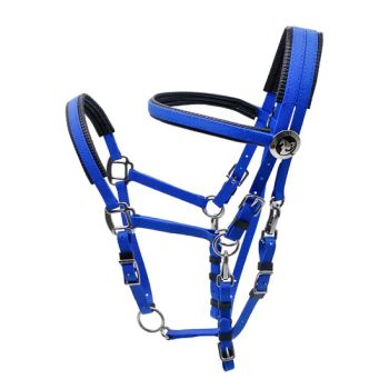 Customized Designed Equestrian Horse Racing Bridle Genuine Leather Horse Halters Bridle Style Saddles PVC Halters - HANGZHOU PETONE TECHNOLOGY CO., LTD. - China