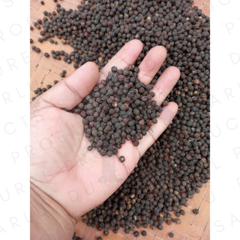 Whole Black Pepper Single Origin Madagascar Peppercorn