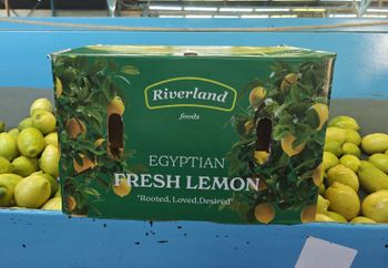 lemon – product photo, Fresh Lemon Beans products found from trusted suppliers, wholesalers, manufacturers & exporters Listing