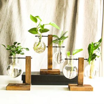 Hot Sale Hydroponics Table Vase Water Planting Glass Flower Vase with Wooden Frame - Ningbo Zhuodi Trading Co., Ltd. - China