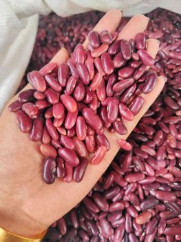 Red Kidney Beans - Items Zone International Trading Co., Ltd - Myanmar