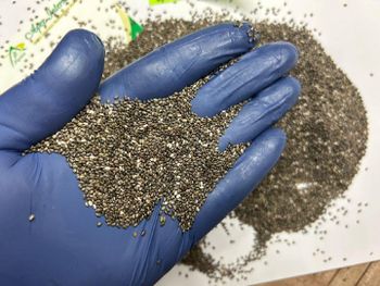 Organic Chia Seeds, Chia Seeds bulk supplier from india Form SEEDS Color Black Shelf Life 2 YEARS Place of Origin INDIA Max. Moisture (%) 10% - APEX INTERNATIONAL - India