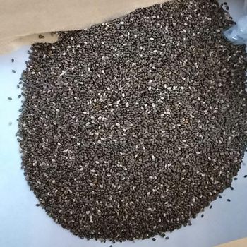 Chia seeds Type TT Grade - Mercury Trading Ltd - United Kingdom