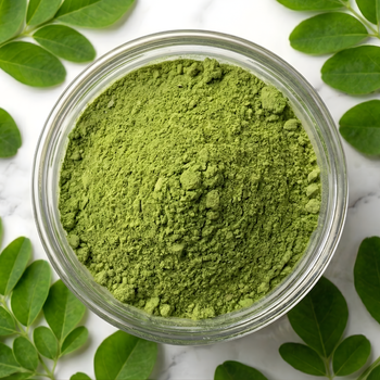 Organic Moringa Leaf Powder (Premium Grade) - Bulk Export Supply | AAD Exports - AAD Exports - India