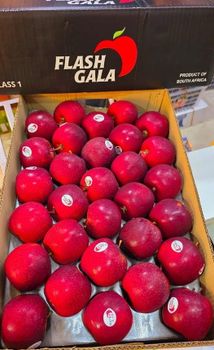 CLASS 1 Export Quality FLASH GALA Apples for sale!! NEW CROPS in South Africa! 100% Organic - NINE FRUITS EXPORTS (PTY) LTD - South Africa