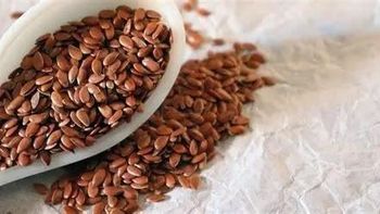 Flaxseed - habtamu export - Ethiopia