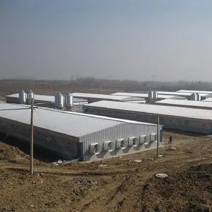 Raisetech 3000-40000 Automatic Chicken House/Coop with Broiler Floor Raising Equipment - Raisetech Co., Ltd. - China