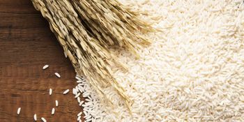 High Quality Organic Long Grain White Rice Hard Texture Dried Rice for Cooking and Food Includes Broken Basmati Rice - AGRONOVA - United States
