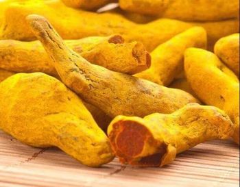 Dried Turmeric Color Yellow Quality Grade Number One Quality - ALISHA CONSULTING GROUP - India