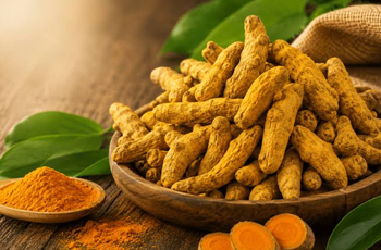 Premium Turmeric Powder | Export Quality - V Organics FZ LLC - United Arab Emirates