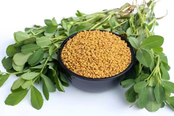 Fenugreek - Evergain - Egypt