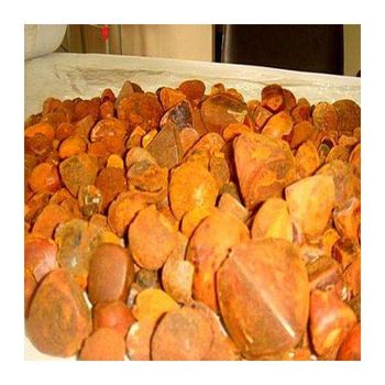 100% Natural Top Quality Ox Gallstones Cattle Gallstones Cow Gallstones for Sale - Medcompex Gmbh - United Kingdom