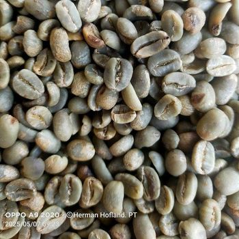 Arabica Coffee Bean – product photo, Unwashed Arabica Coffee products found from trusted suppliers, wholesalers, manufacturers & exporters Listing