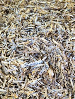 Premium Freeze Dried BQF Anchovy Fish Body Sliced Cooking Snacks Pet Food Bulk Bag - VERTEX TRADING LIMITED - United Kingdom