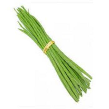 Drumsticks organic China drumstick wholesale price fresh drumstick moringa vegetable - Jp Trading Limited - Kazakhstan
