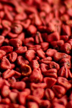 Cheap Price Annatto Seeds Wholesale Supplier High Quality Achiote Seeds for Retail and Bulk - AGRONOVA - United States