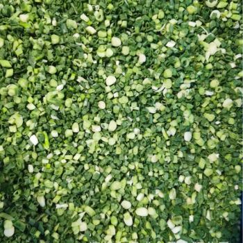 Frozen Fresh Green Onion IQF Frozen Spring Onion Type IQF Shape Round Color Spring Weight (Kg) 10 Taste Delicious Standard Food - Shanxi Fret International Trade Co., Ltd - China