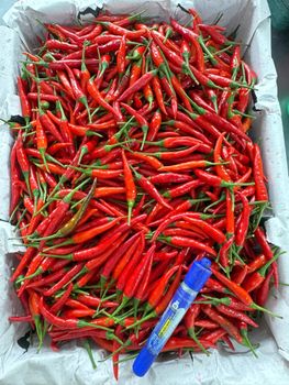 Fresh Chili Flavor Spicy Color Vibrant Red Source Best Farms Size 4-8cm  + 8-15cm Variety Green And Red Place of Origin Vietnam - Công ty TNHH Chế Biến Nông Hải Sản Biển Xanh - Vietnam