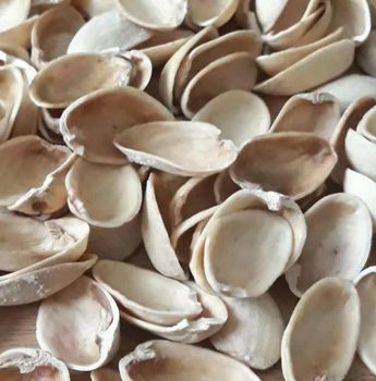 Pistachio shells - mirza - Global