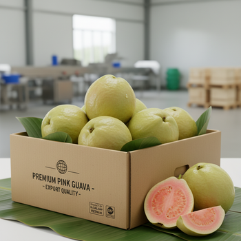IQF Pink Guava – Individually Quick Frozen Tropical Fruit Chunks & Pulp from Vietnam - Vdelta - Vietnam