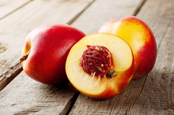 High quality nectarines bulk supply factory price fast delivery - Mundus Exports Pty Ltd - South Africa