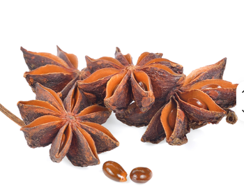 Wholesale 100% Pure Non-GMO Raw AD Dried Star Anise Single Spices Herbs Granules Spicy Flavor Natural Best Price Factory - AZU EMOBILITY LLC - Canada