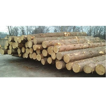 Wholesale Wood Supplier | Spruce Round Logs For Wood Timber / Lumber - Exigentelaxia Unipessoal Lda - Portugal