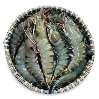 Tiger Prawn Size 8-10 Pieces - Highper - Angola