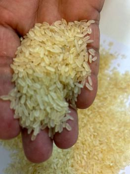 High quality natural dried 100% broken parboiled rice short grain non basmati rice export - AL JABLI TRADING COMPANY LIMITED - Tanzania