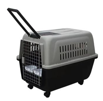 Hot Sales Pet Products Catcage Carrier - Outdoor Dog Travel Bag Set - Haisen Pet Technology (Inner Mongolia) Co., Ltd. - China