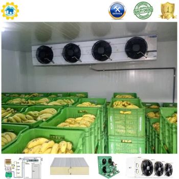 Freezers for Home Kitchen Seafood Freezer Room Size Large Condition New Model NO. 001 Origin Jiangsu Fire Rating B1 Refrigerant - Changzhou Yang Chuan Precision Machinery Co., Ltd. - China