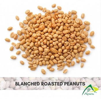 Blanched Roasted Peanut 5060, Blanched Roasted Peanut 50 60, Peanut, Peanuts, Arachis hypogaea, Blanched Roasted Peanut 50/62, Blanched Roasted Peanut, Blanched Roasted Peanut Kernels, Blanched Peanut, Indian Blanched Roasted Peanut, Indian Blanched Peanut, Peanuts Roasted Kernels, Peanuts Kernels, Peanut With Shell, Peanuts, Indian Peanut,Blanched Roasted Peanuts, Blanched Roasted Peanut Supplier From India. from APEX INTERNATIONAL Blanched Roasted Peanut 5060, Blanched Roasted Peanut 50 60, Peanut, Peanuts, Arachis hypogaea, Blanched Roasted Peanut 50/62, Blanched Roasted Peanut, Blanched Roasted Peanut Kernels, Blanched Peanut, Indian Blanched Roasted Peanut, Indian Blanched Peanut, Peanuts Roasted Kernels, Peanuts Kernels, Peanut With Shell, Peanuts, Indian Peanut,Blanched Roasted Peanuts, Blanched Roasted Peanut Supplier From India. - APEX INTERNATIONAL - India