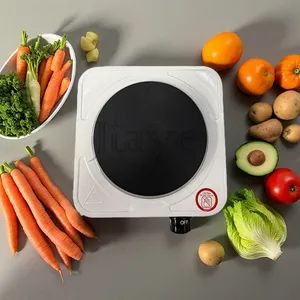 Temperature-Controlled Single Burner Hot Plate for Easy Cooking - Zhongshan Jiaye Electric Appliance Co., Ltd. - China