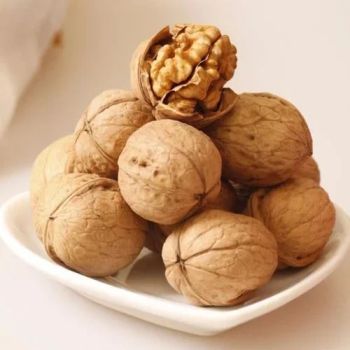 Walnut Crunchy Natural Walnut Kernels Bulk Affordable Healthy Snack High Fiber and Protein Wholesale Packs Online from A.C.P. AGRICULTURE COMPANY LIMITED Walnut Crunchy Natural Walnut Kernels Bulk Affordable Healthy Snack High Fiber and Protein Wholesale Packs Online - A.C.P. AGRICULTURE COMPANY LIMITED - Thailand