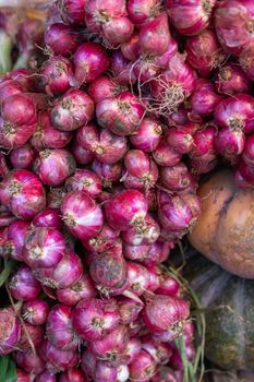 Fresh Red Onion – product photo, Top Quality Products