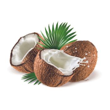 coconut for sale \Fresh Premium Coconuts in Cheapest Rate Fresh Mature Coconut Crop Sweet - CHHC AGR0-CHEMICAL PRODUCTS WHOLESALING - Philippines