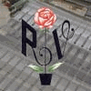 Product - ROSELL VEGA HORTICULTORS S.L. - Spain