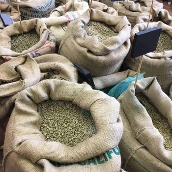 100% Premium Quality Arabica & Robusta Coffee Beans – Pure Whole Coffee Beans (Green and Roasted) for Specialty Roasting, Espresso Blends, and Commercial Coffee Production - Nedvixs Company Limited - Kenya