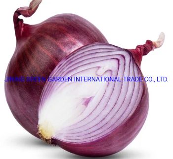 2021new Crop Chinese Red Onion Yellow Onion, 10kg 20kg Mesh Bag Round Frozen Fresh Red Yellow White Onion From Factory - JINING GREEN GARDEN INTERNATIONAL TRADE CO., LTD. - China