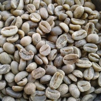 Arabica Coffee Beans Bulk Supplier Export Quality | Grade AA & AB Top Quality Green Coffee Bean - Kilifarmick Joinuts Corporation Limited - Kenya