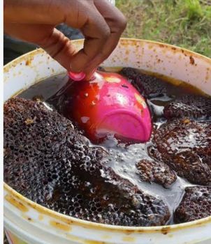 Raw Shea butter, organic ginger, organic honey - JCM Enterprise - Ghana