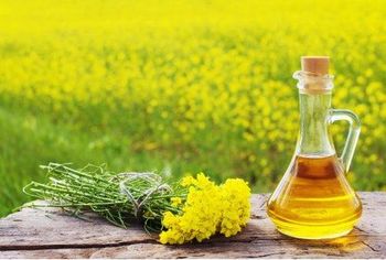 Refined Rapeseed Oil (Canola Oil) – Premium Quality for Industrial & Food Applications from Trapani Global Trade B.V. Refined Rapeseed Oil (Canola Oil) – Premium Quality for Industrial & Food Applications - Trapani Global Trade B.V. - United States