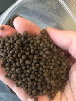 Diammonium Phosphate (DAP 18-46) Ph Range 7.5 – 8.5 Hygroscopicity Low Moisture Content 2.5% Maximum Water Solubility Fully - BF GLOBAL TRADING (PTY) LTD - South Africa