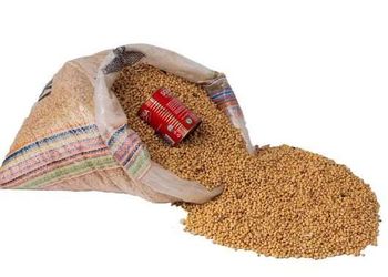 Organic Soya Beans - Akiobat Nig enterprises - Nigeria